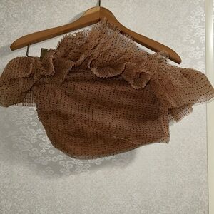 Zara Brown Ruffled One-Shoulder Crop Top